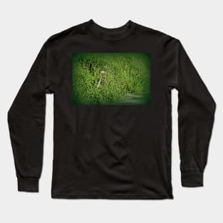 Great Blue Heron at edge of Trojan pond, near Goble, Oregon 2 Long Sleeve T-Shirt